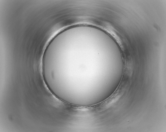 X0000115271199200911271939