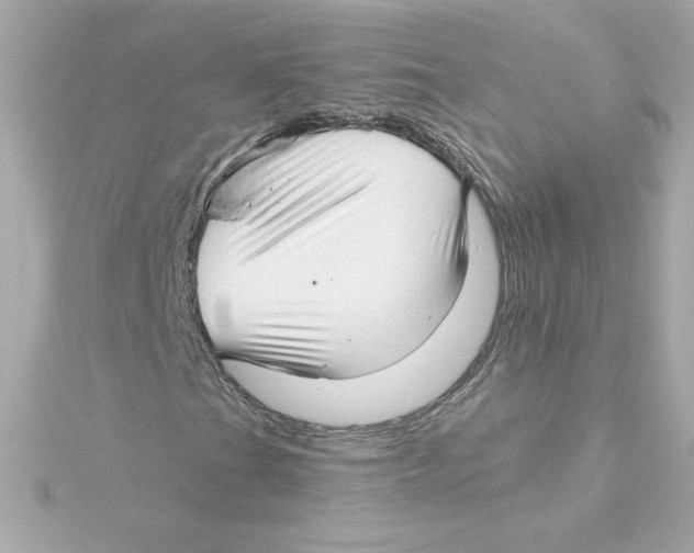 X0000115271201200911271939