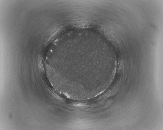 X0000115271202200911271939