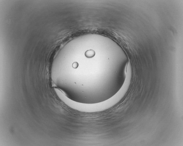 X0000115271203200911271939