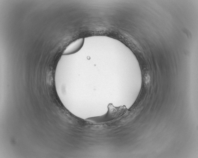 X0000115271204200911271939