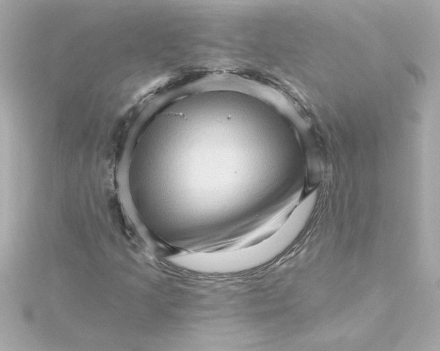 X0000115271205200911271939