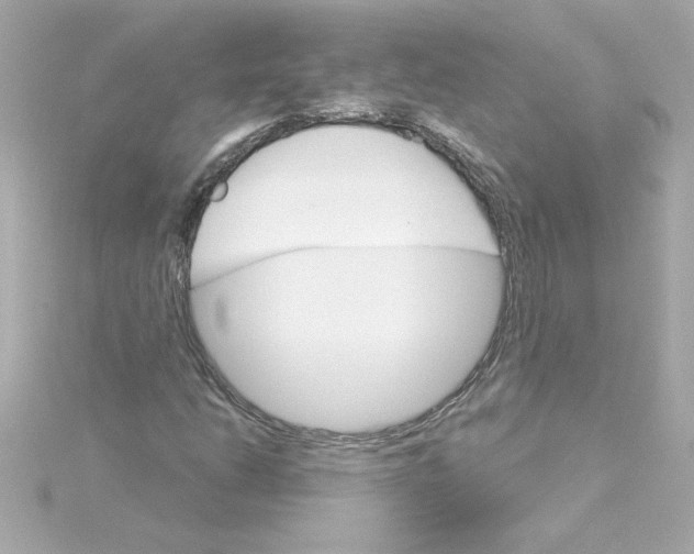 X0000115271206200911271939