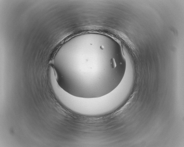 X0000115271209200911271939