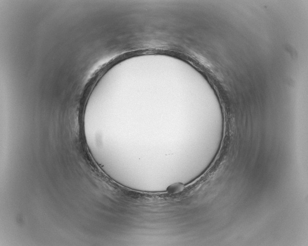 X0000115271214200911271939