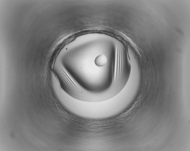 X0000115271215200911271939