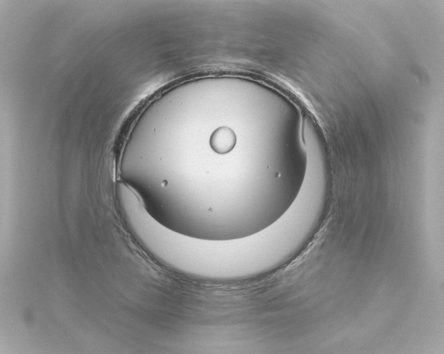 X0000115271219200911271939