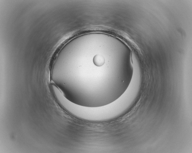 X0000115271221200911271939