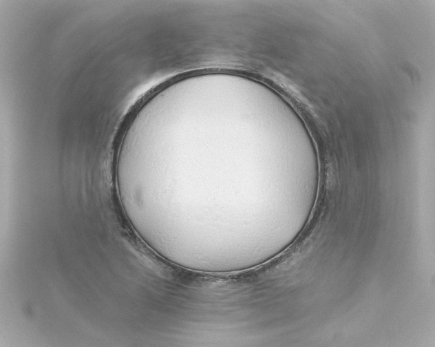 X0000115271222200911271939