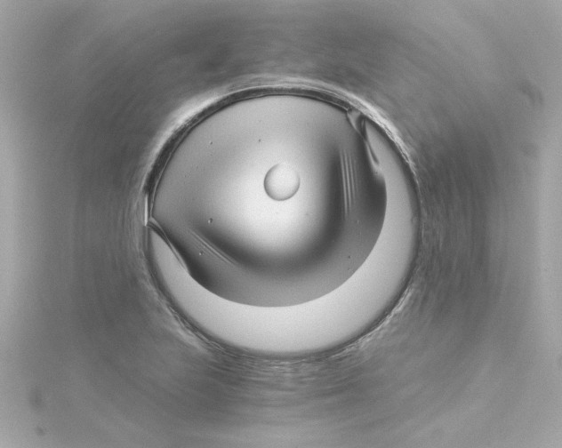 X0000115271223200911271939