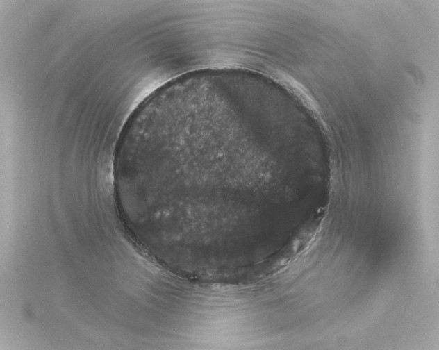 X0000115271226200911271939