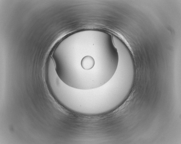 X0000115271227200911271939