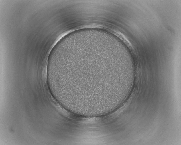 X0000115271228200911271939