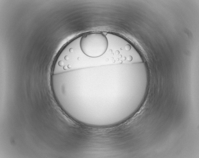 X0000115271230200911271939