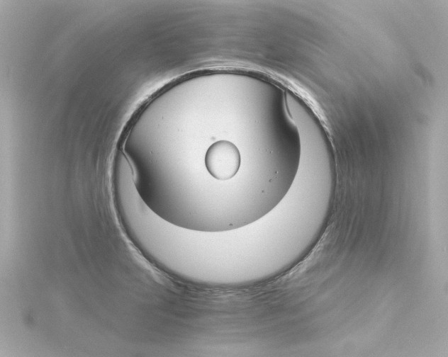 X0000115271231200911271939