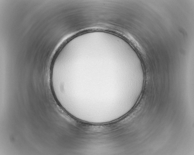 X0000115271232200911271939