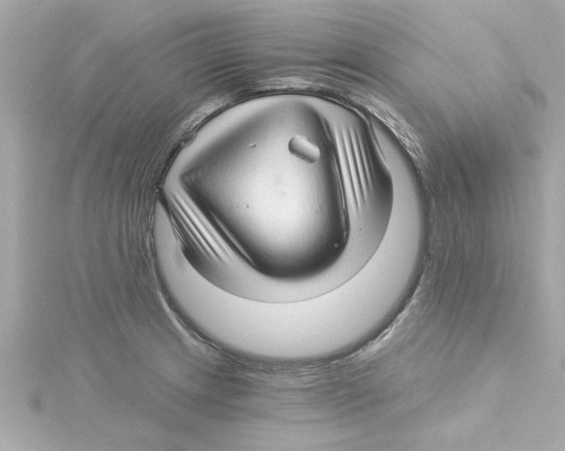 X0000115271233200911271939