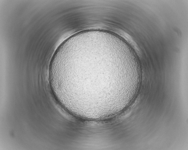 X0000115271234200911271939