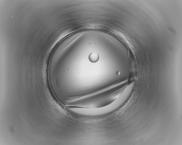 X0000115271235200911271939