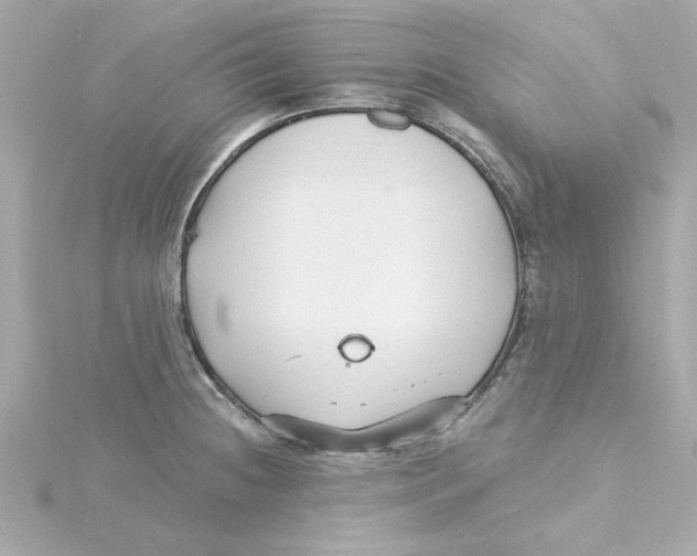 X0000115271236200911271939