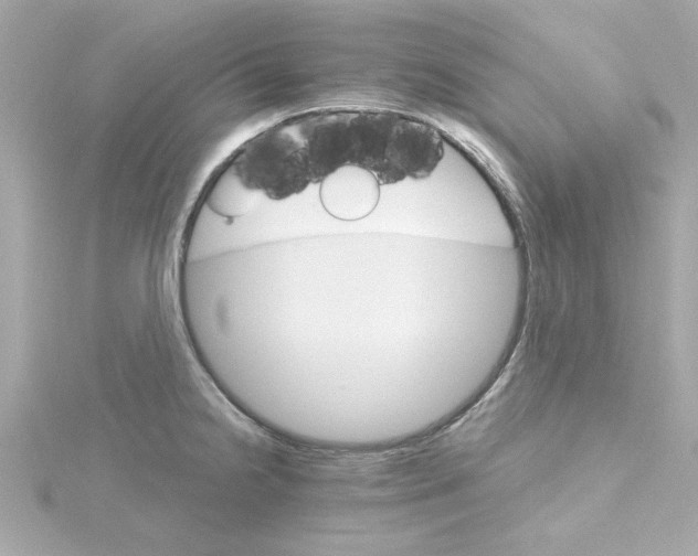 X0000115271238200911271939