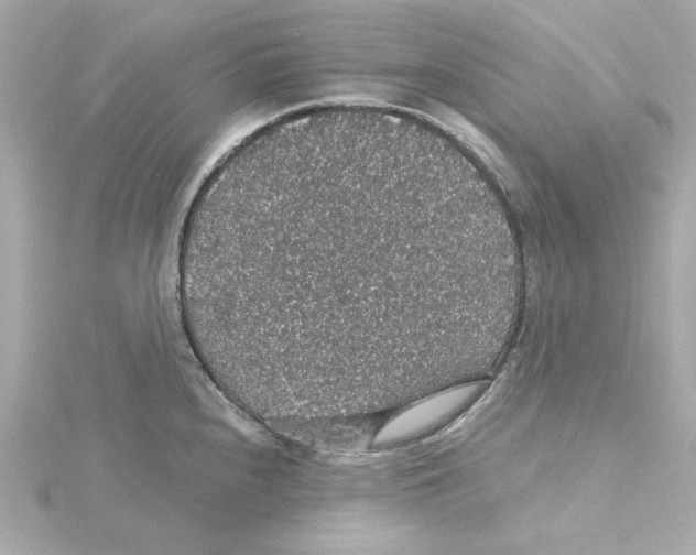 X0000115271240200911271939