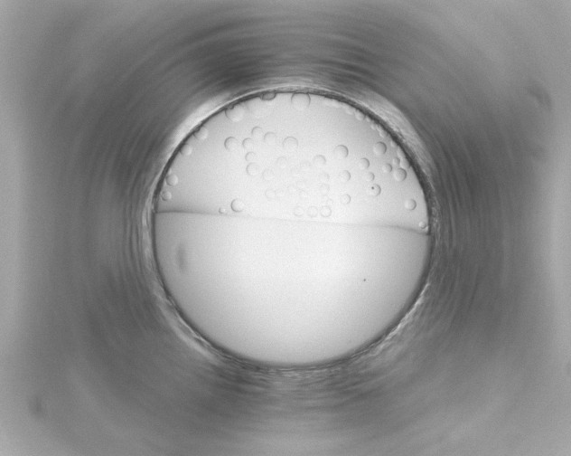 X0000115271242200911271939