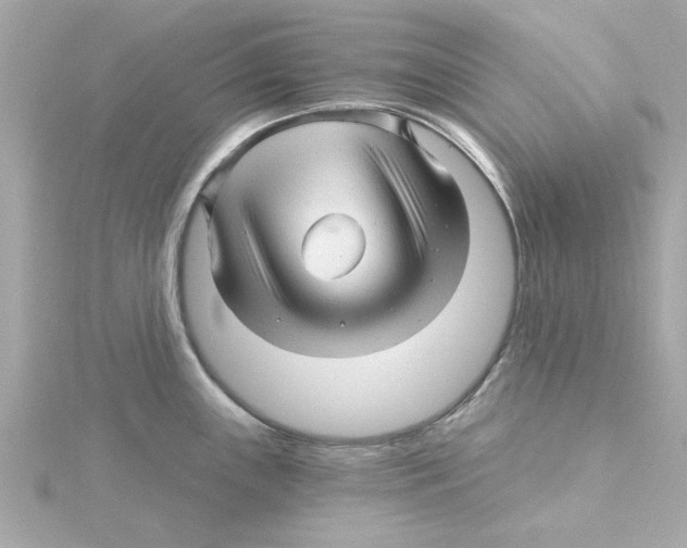 X0000115271243200911271939