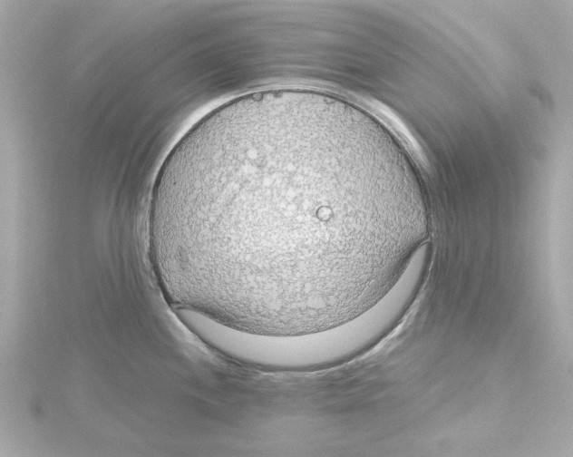 X0000115271244200911271939