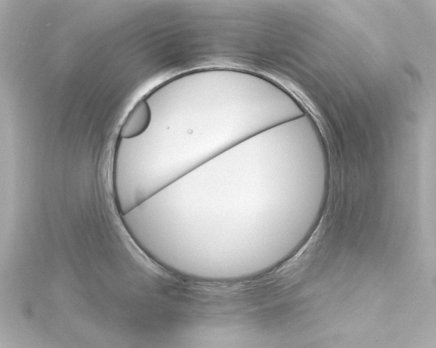 X0000115271246200911271939