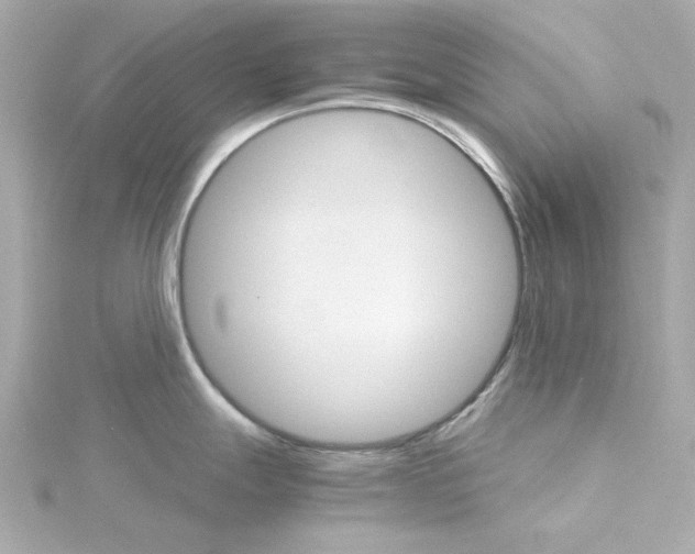 X0000115271247200911271939