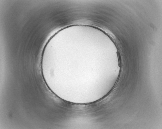 X0000115271248200911271939