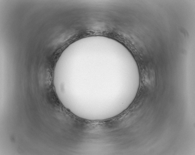 X0000115271253200911271938