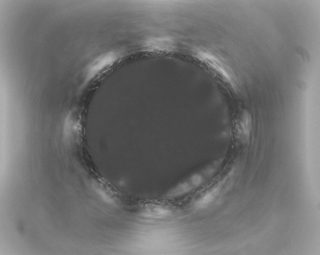 X0000115271254200911271938