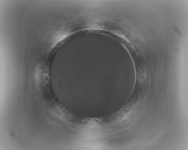 X0000115271255200911271938