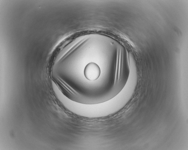 X0000115271256200911271938