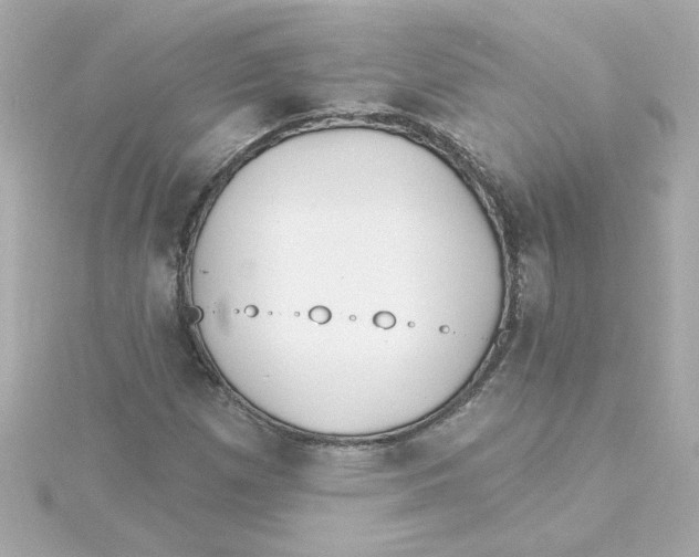 X0000115271257200911271938