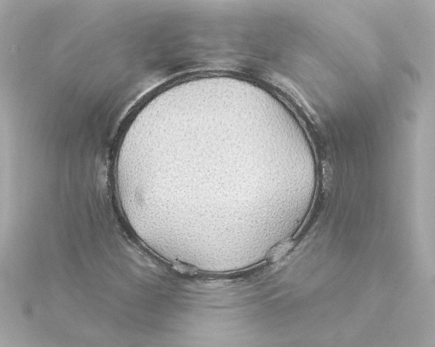 X0000115271260200911271938