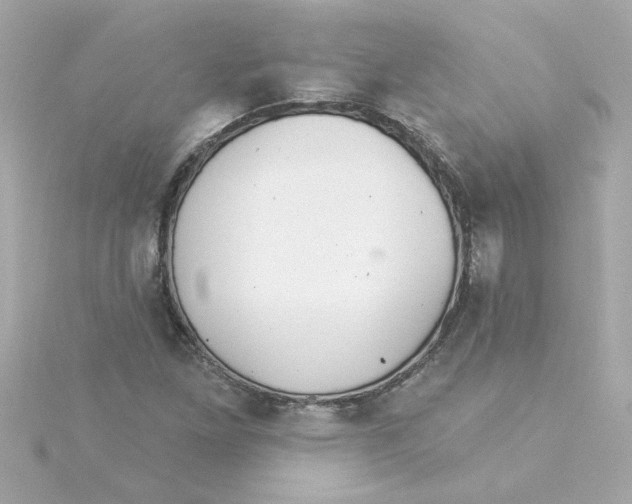 X0000115271261200911271938