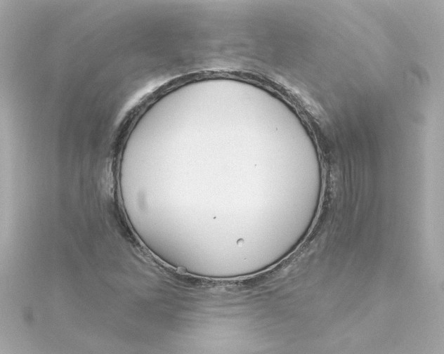 X0000115271262200911271938