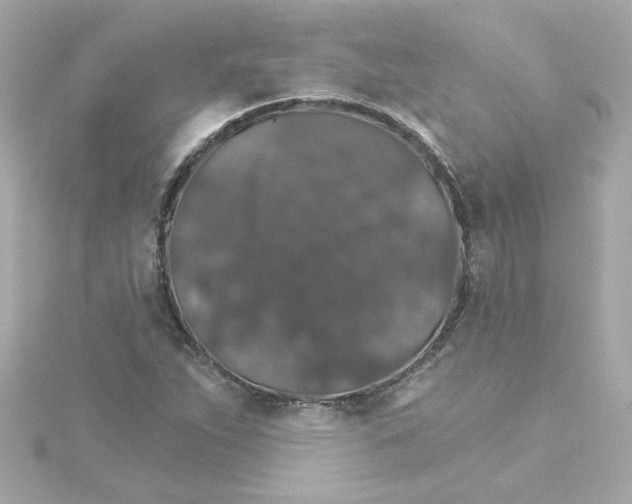 X0000115271263200911271938