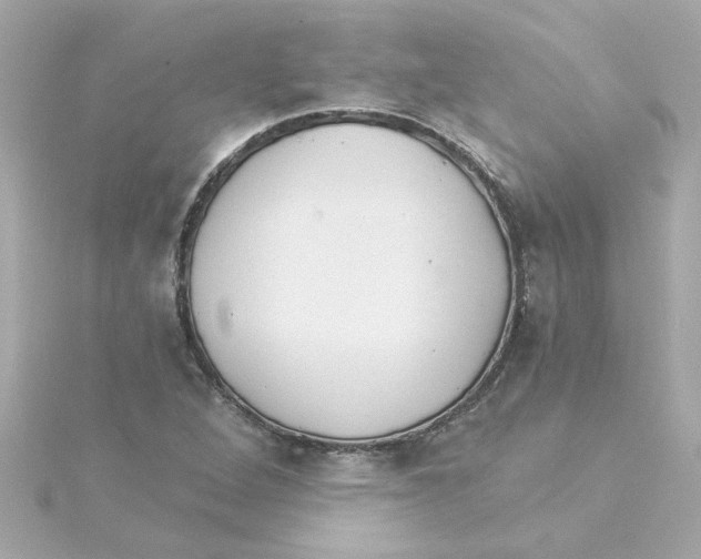 X0000115271264200911271938