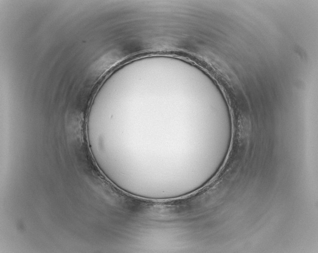 X0000115271265200911271938