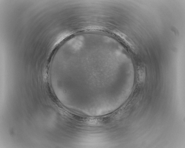 X0000115271266200911271938