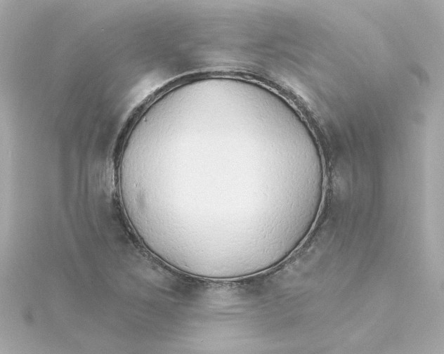 X0000115271267200911271938