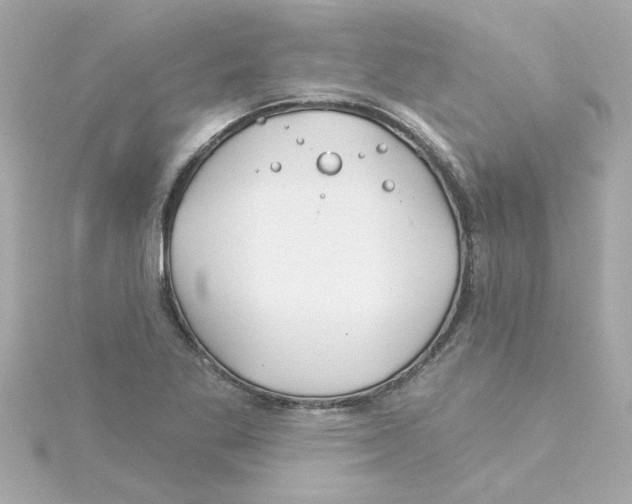 X0000115271269200911271938