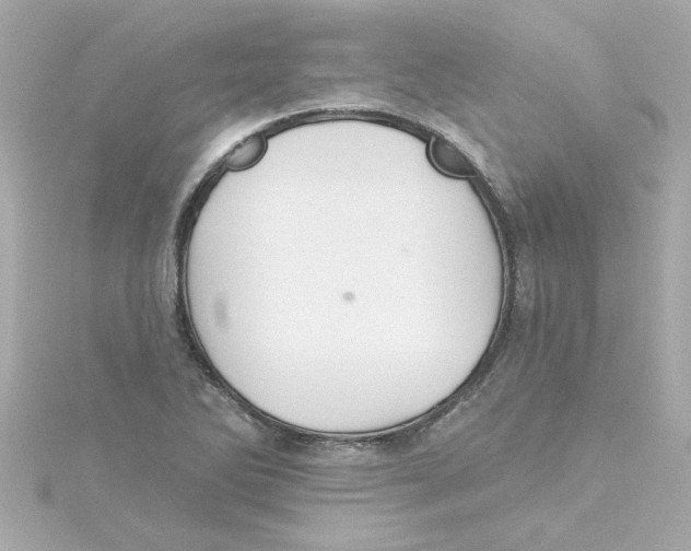 X0000115271270200911271938