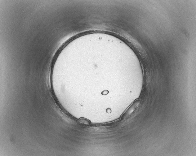 X0000115271272200911271938