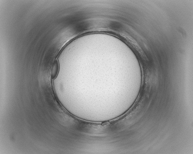 X0000115271273200911271938