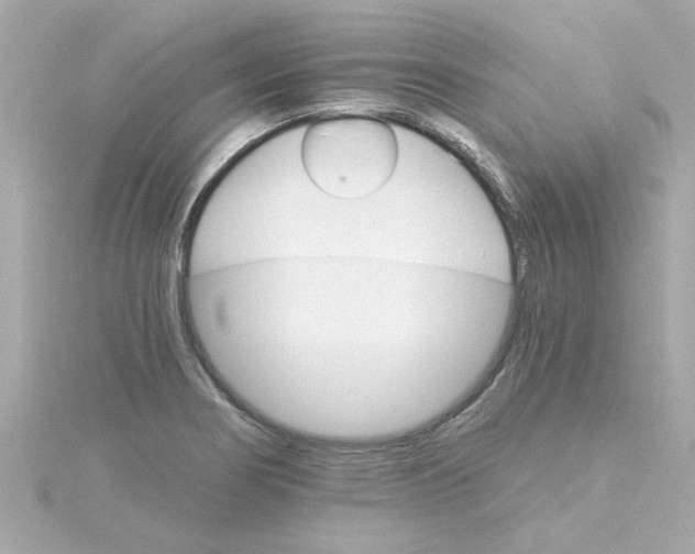 X0000115271274200911271938